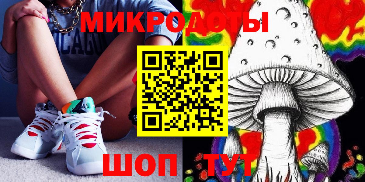 Галлюциногенные грибы Psilocybe Дзержинск